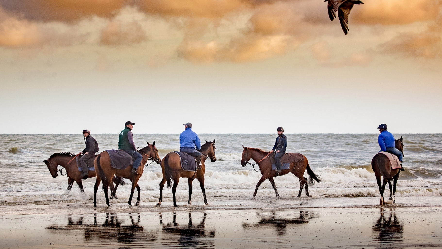 
                Bandeau accueil global
                