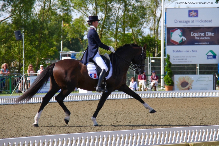 Peut-on louer un cheval de Haut niveau ?
