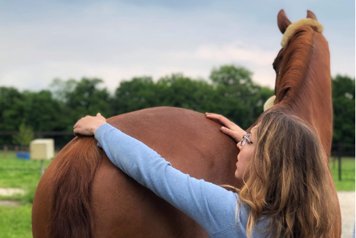 L'Ostéopathie équine : une médecine complémentaire essentielle à la santé et au bien être du cheval.
