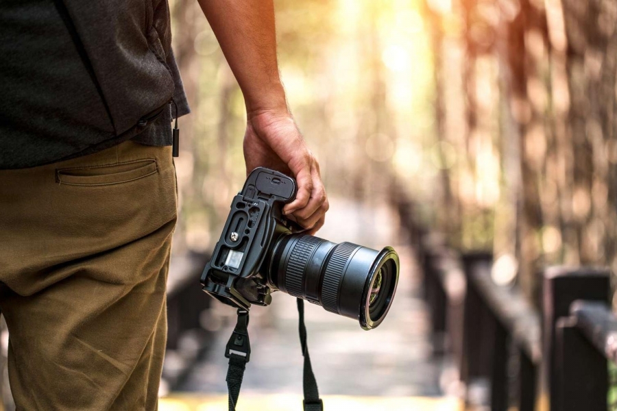 Et si vous faisiez appel à un photographe professionnel pour mettre en valeur votre cheval ?
