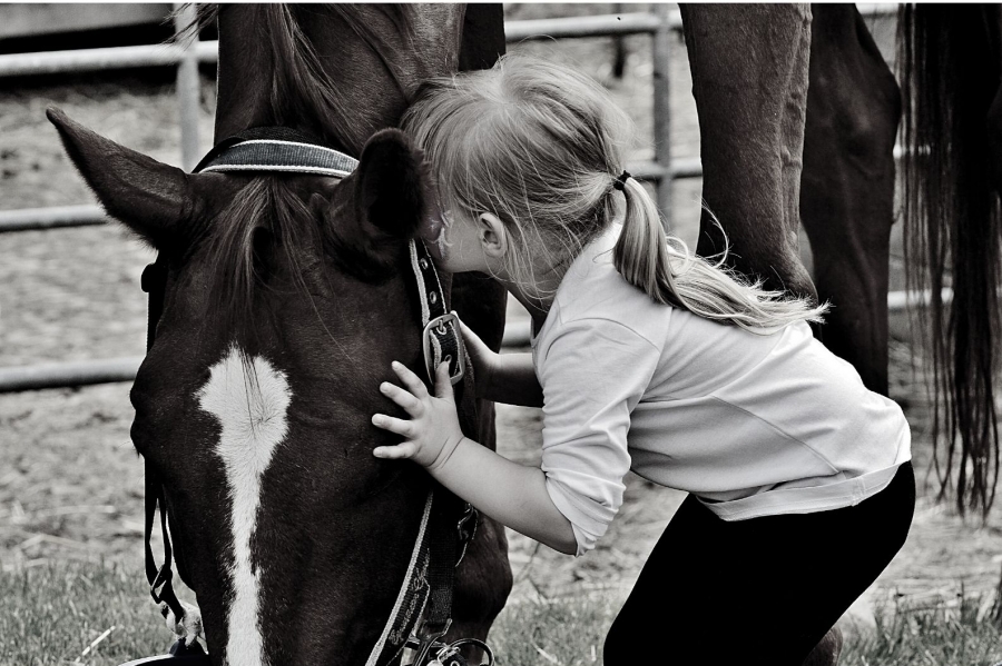 Concours photos Rent A Horse sur le thème de la Saint-Valentin ❦
