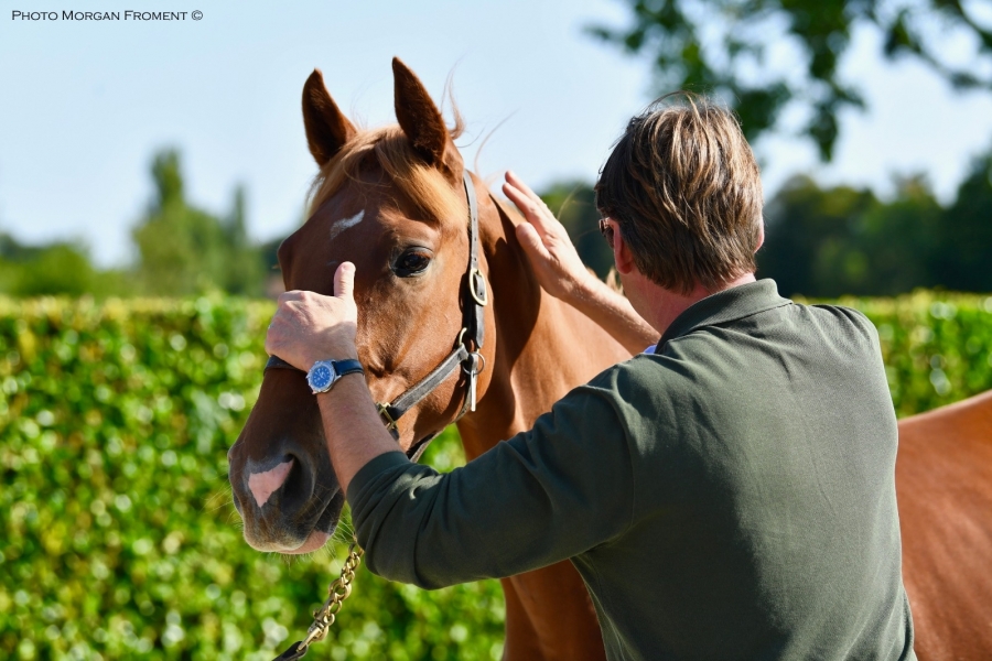 #RACEANDCARE : L’hashtag du bien-être équin.