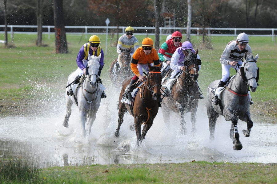 L’Association des Propriétaires Permis d’Entraîner, le nouveau partenaire de RENT A HORSE !