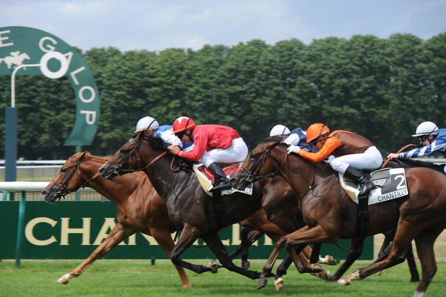 Tout savoir sur la location d'un cheval de course