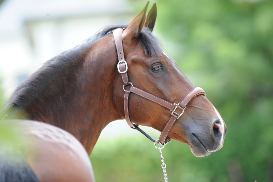 La location? Pourquoi et pour qui?
