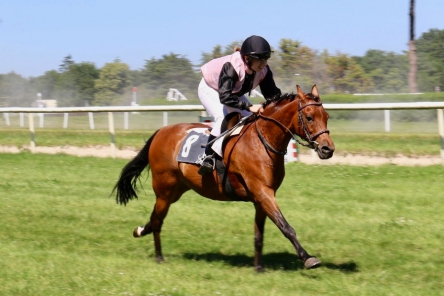 Clap de fin sur le Point to Point des Poneys à Nort-sur-Erdre !