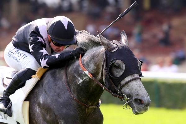 Victoire RENT A HORSE sur l’hippodrome de ParisLongchamp