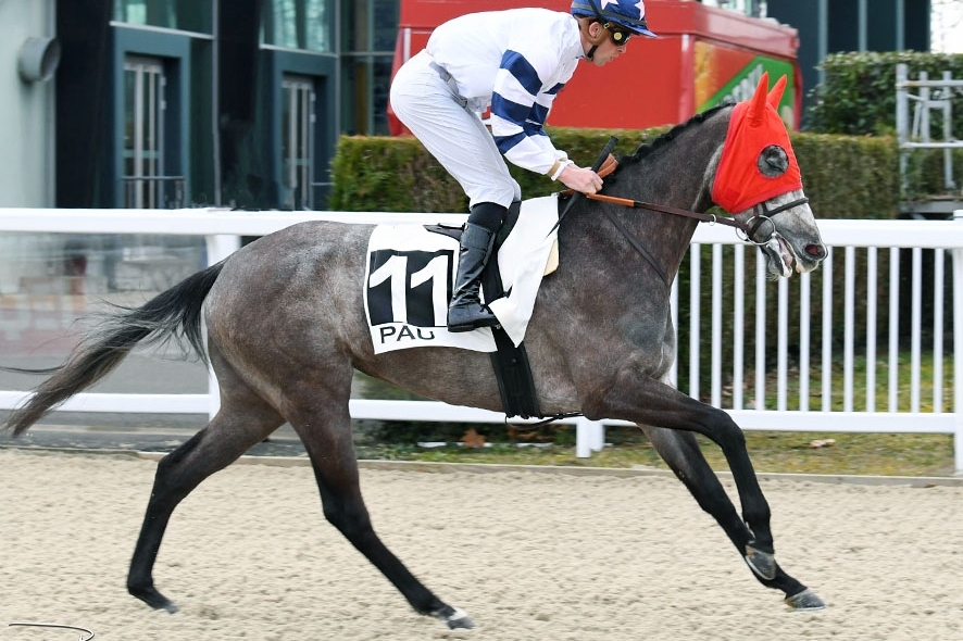 Inauguration de la casaque RENT A HORSE!