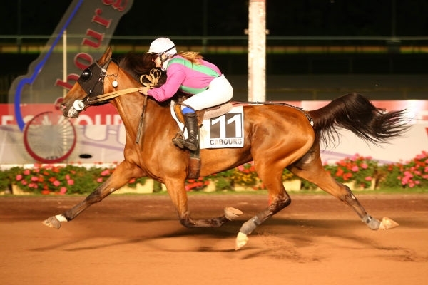 Forum pour l'emploi dans les courses hippiques et l'élevage