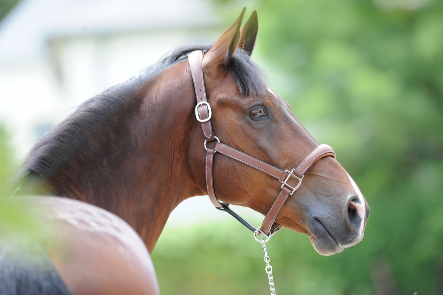 Tout savoir sur nos contrats