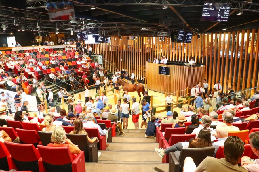 Un record pour les ventes de yearlings à Deauville