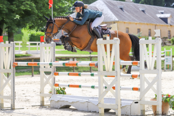Et si vous deveniez locataire d'un cheval de sport?